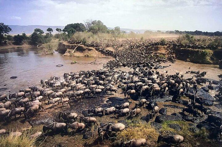 3 Day Honeymoon Mara Sarova Flying Safari Package