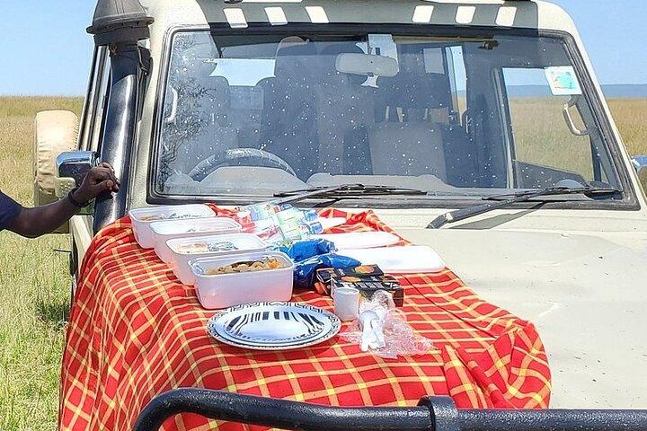 3 Day Honeymoon Mara Sarova Flying Safari Package