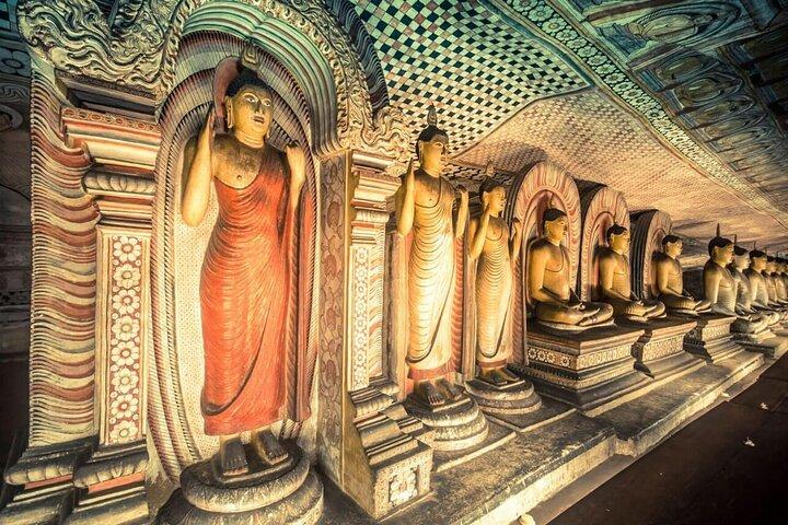 Sigiriya Dambulla and Jeep Safari Full Day Tour From Colombo