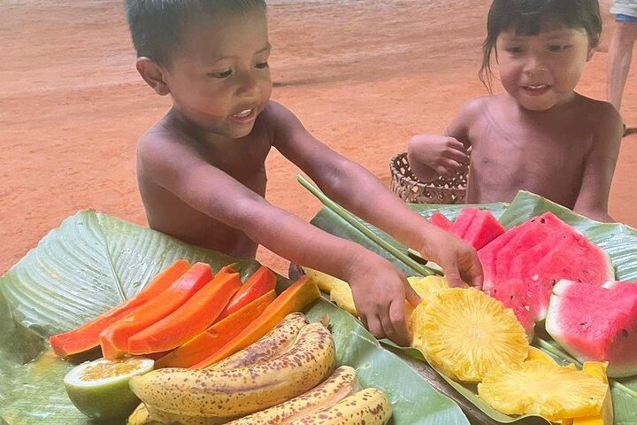Native Indigenous Embera Village Experience and Waterfall