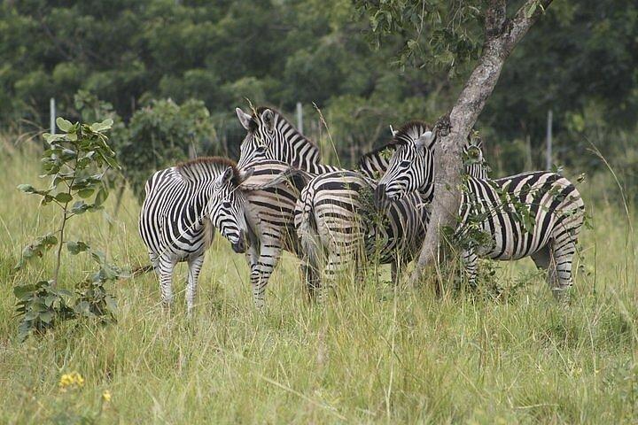 Private 8 Hour Day Trip to Shai Hills with Volta Lake Cruise