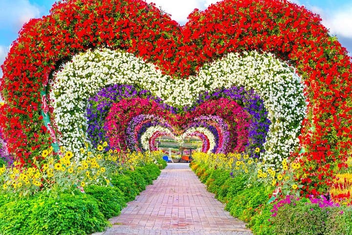 Skip the Line Ticket to Dubai Miracle Garden and Transfer Option