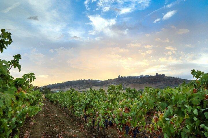 Private Full-Day Cultural Tour in Evora and Monsaraz