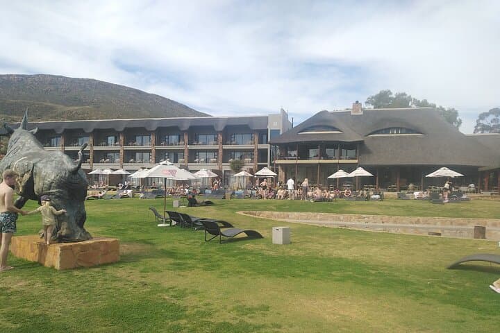 Aquila Big Five Safari Near Cape Town(with optional wine testing)