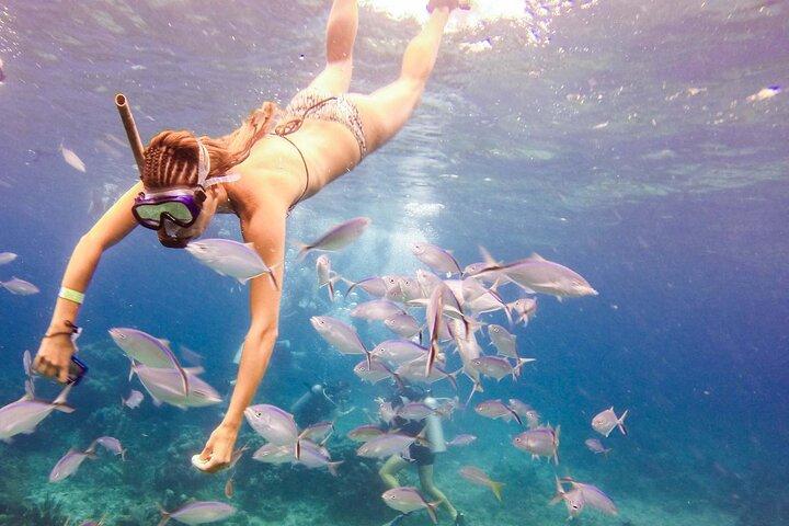 Tours to Saona Island