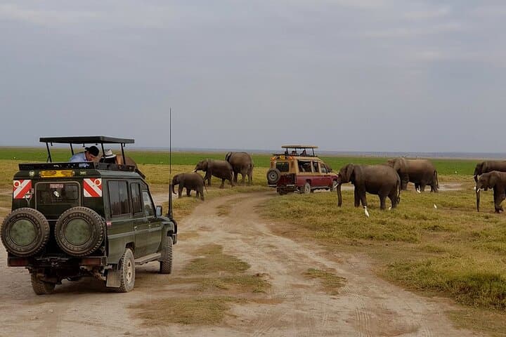 Safari Tour by Jeep to Amboseli National Park