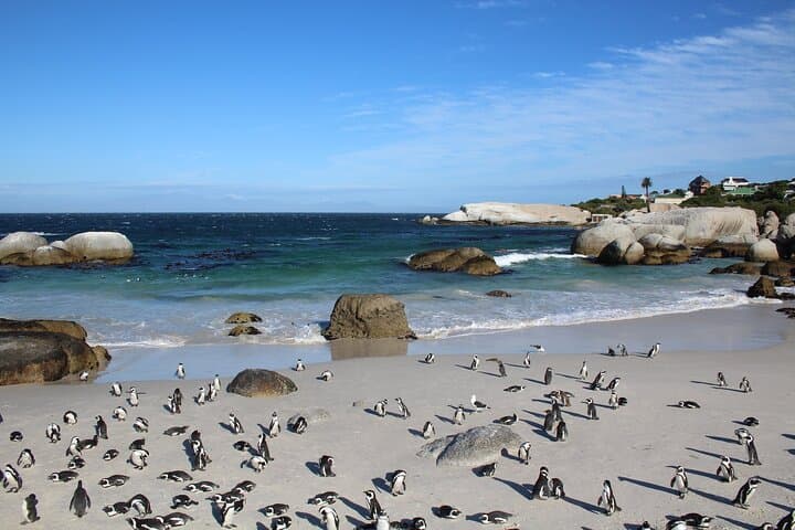 E-Bike Cape Peninsula Full Day Tour in Cape Town