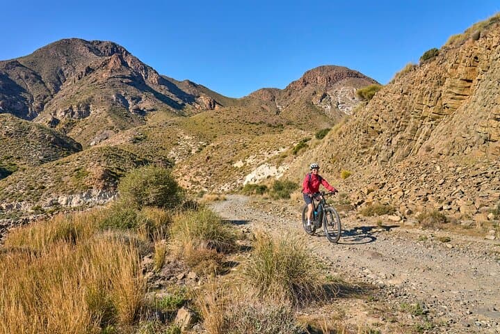 E-Bike Cape Peninsula Full Day Tour in Cape Town