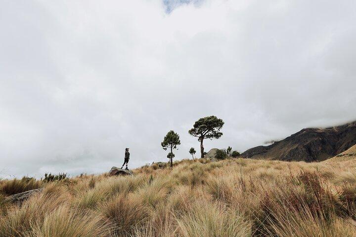 From Puebla: Iztaccihuatl hiking tour all-Inclusive private tour