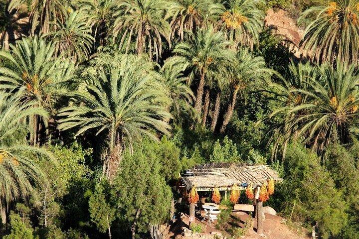 Agadir Adventure: Paradise Valley, Imouzzer Waterfalls