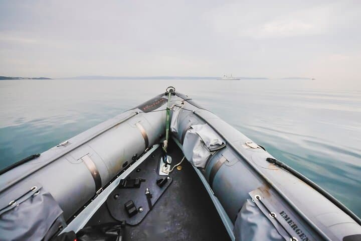 Combo Marine Wildlife Cruise & Cape Point Full Day Tour in CT