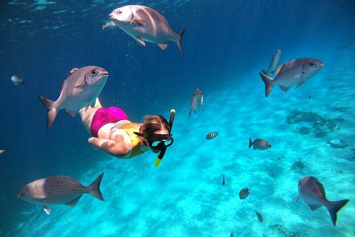 Colombia, Palancar & Cielo Cozumel Snorkel Tour