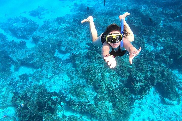 Colombia, Palancar & Cielo Cozumel Snorkel Tour