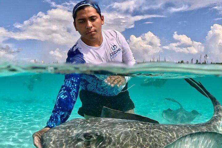 Colombia, Palancar & Cielo Cozumel Snorkel Tour