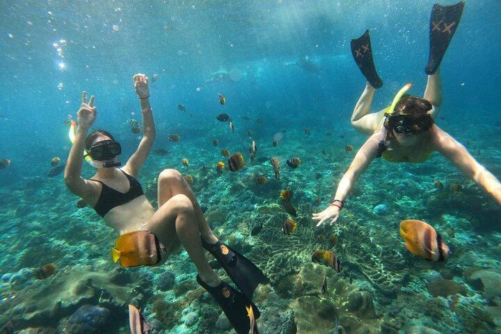 Snorkeling In Nusa Penida Island With Manta Ray From Bali