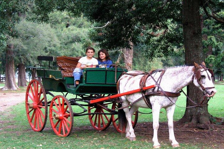 Gaucho Day Tour La Candelaria Estancia From Buenos Aires