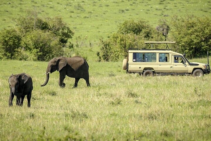 Masai Mara Transfer From Nairobi