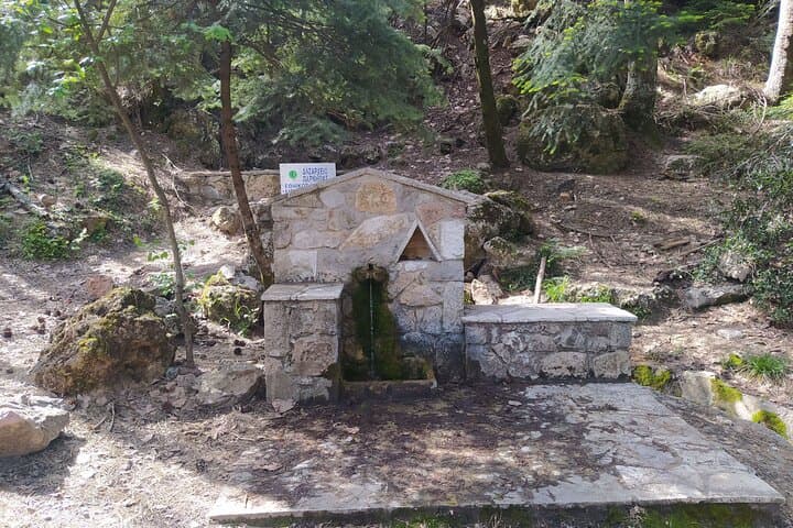 1 Day Parnitha Athens Private Hiking Tour with Hotel Pickup
