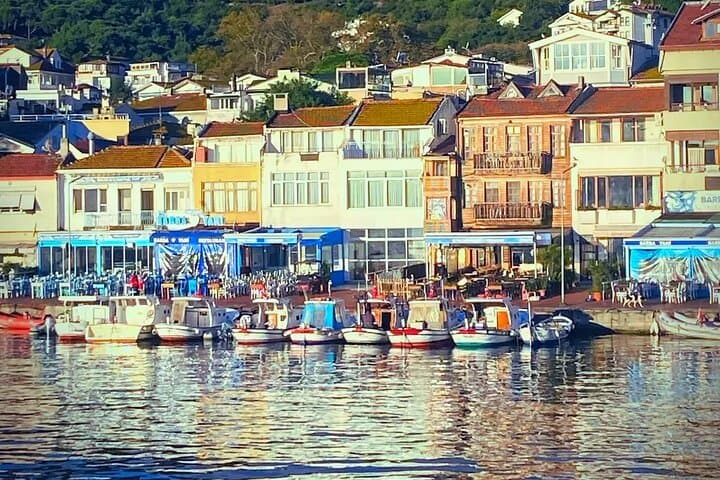 Private Princes' Islands Tour