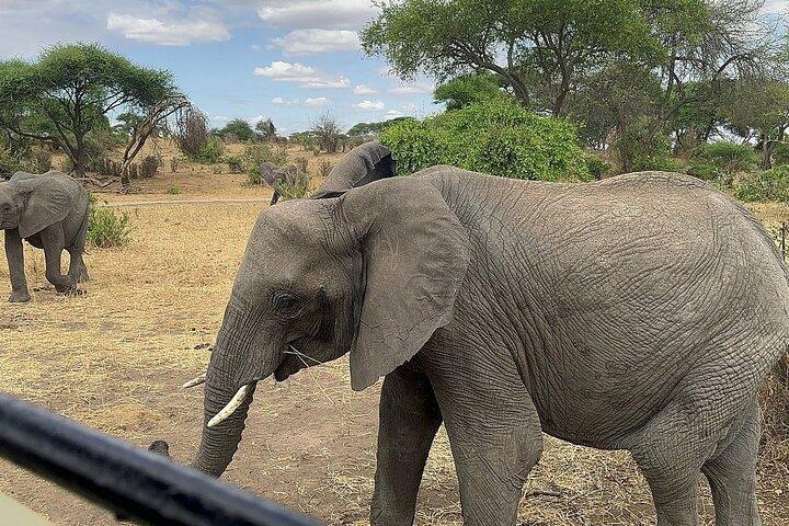 6 -Day Tarangire, Manyara, Serengeti & Ngorongoro