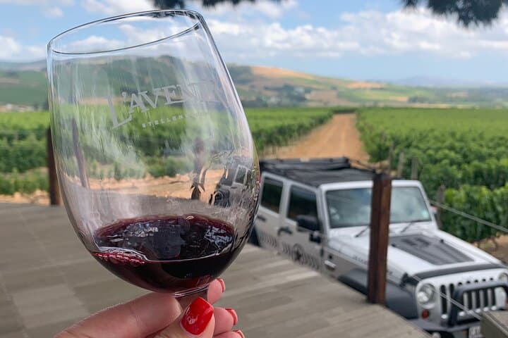 Full Day Stellenbosch Wine Tour