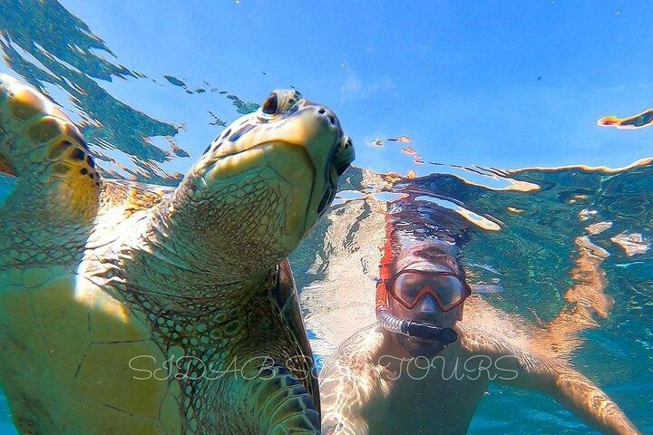 Muscat: Daymaniyat island Natural Reserve and Dolphin Watching