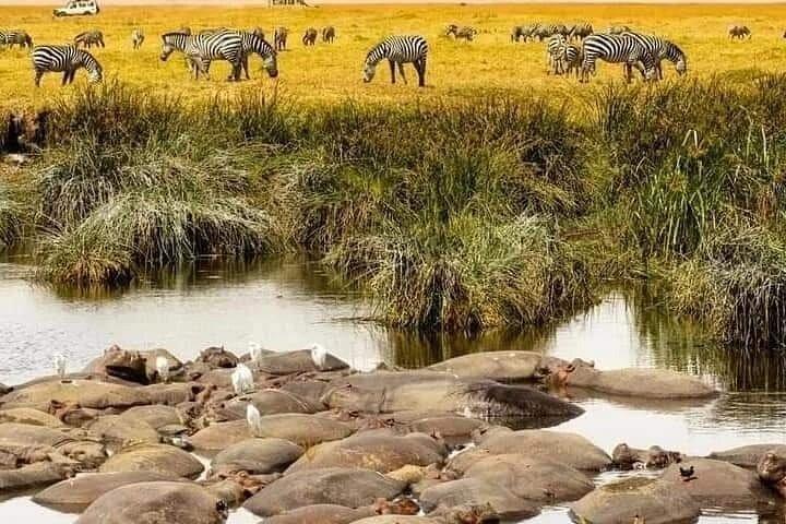 5 Days Private Tour in Tanzania Midrage Safari