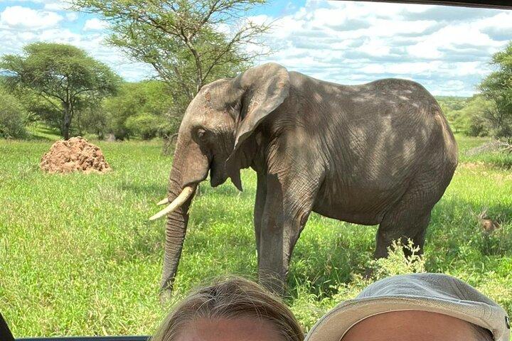 7 Day The Great Savannah Luxury Safari All Inclusive