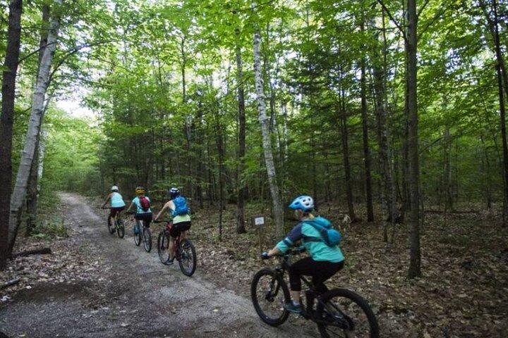 Private Off-Road Experience and Mountain Bike Tour in Athens