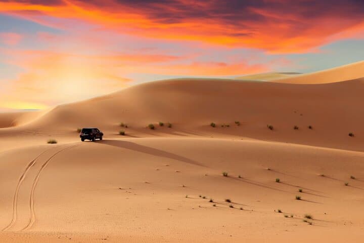 4 Hour Morning Desert Safari Tour with Camel Ride and Quad Bike
