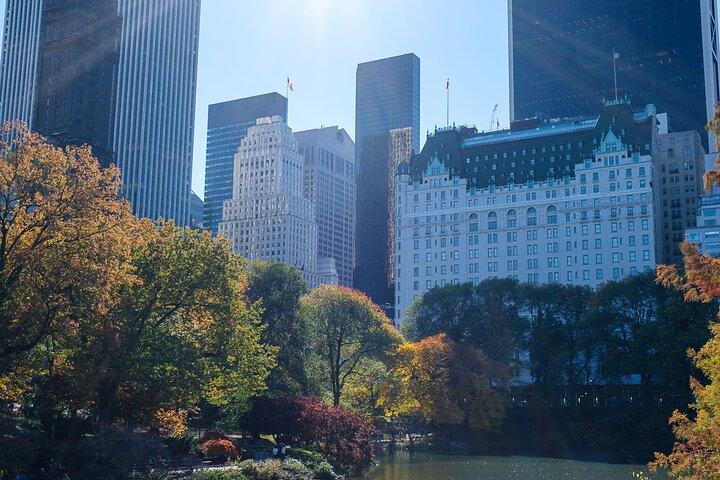 Central Park Private Pedicab Tour (2hrs)