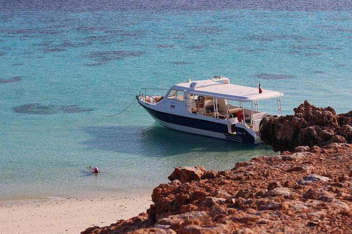 Muscat: Daymaniyat island Natural Reserve and Dolphin Watching