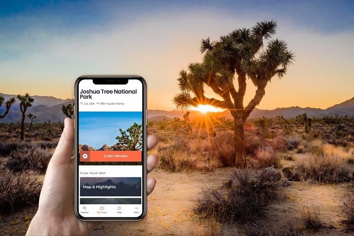 Self-Guided Driving Audio Tour in Joshua Tree National Park