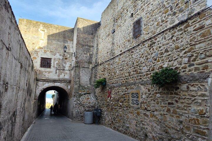 full day private tour of tangier from the cruise ship pick up