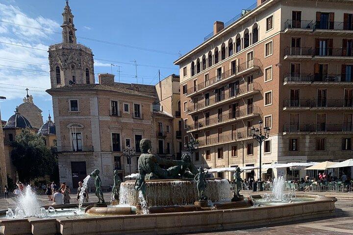 From Albir, Benidorm & Calpe: Valencia City day trip
