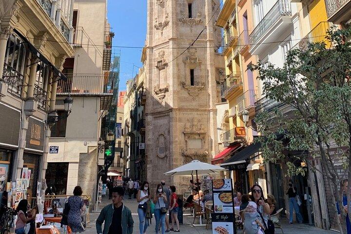 From Albir, Benidorm & Calpe: Valencia City day trip