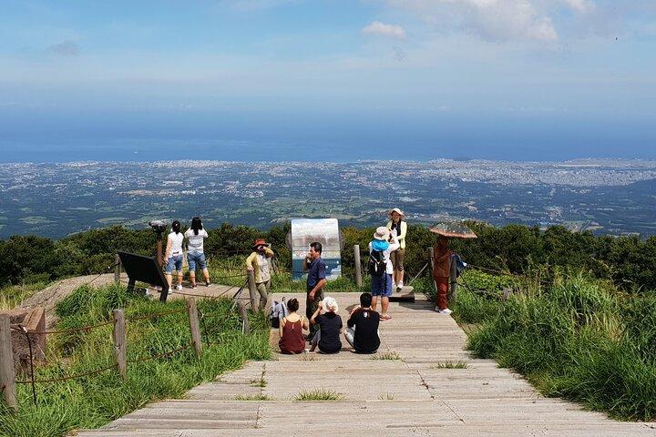 Jeju Premium Small Group UNESCO Day Tour - South Course
