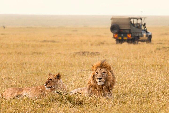 Big 5 Masai Mara and Lake Nakuru 4 Days Safari Private Tour