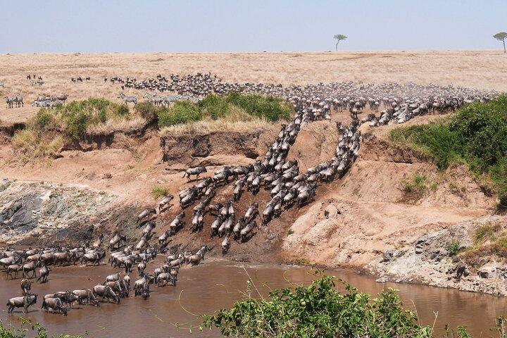 4-Day Serengeti, Ngorongoro & Tarangire Private Camping Tour