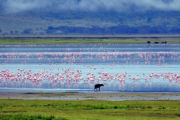 4-Day Serengeti, Ngorongoro & Tarangire Private Camping Tour