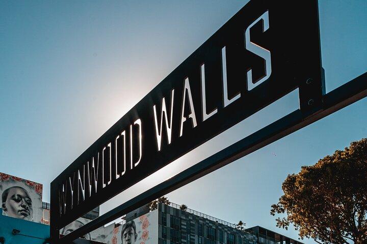 Miami Wynwood Walls Street Art & Neighborhood Walking Tour