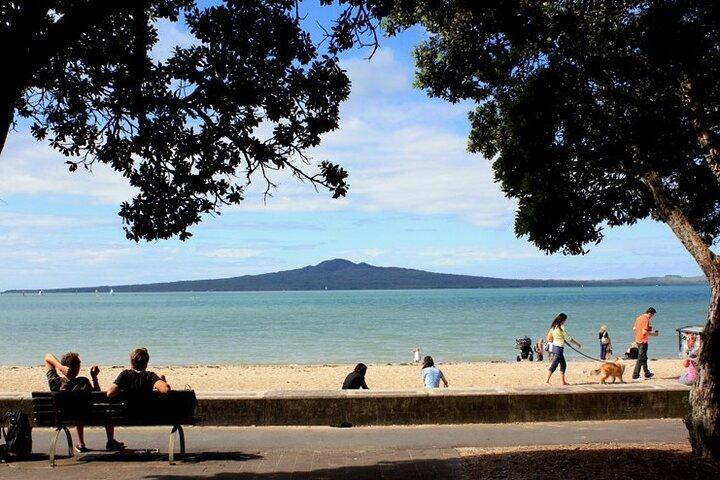 Waitomo Glowworm Caves and Auckland City Tour a Day Trip