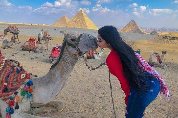 Day Trip to Cairo From Sharm El-Sheikh by Bus