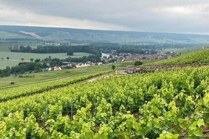 Lunch at Moet et Chandon, Aperitif & Cellars visit Champagne trip