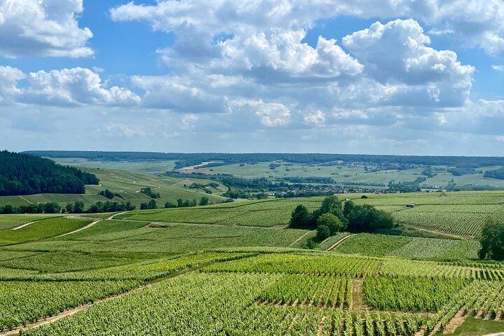 Lunch at Moet et Chandon, Aperitif & Cellars visit Champagne trip