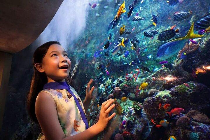 Dubai: Lost Chambers Aquarium in Atlantis with Optional Transport