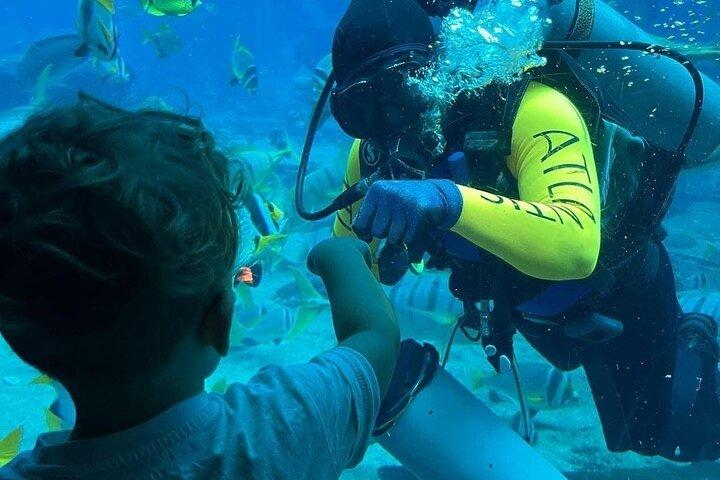 Dubai: Lost Chambers Aquarium in Atlantis with Optional Transport