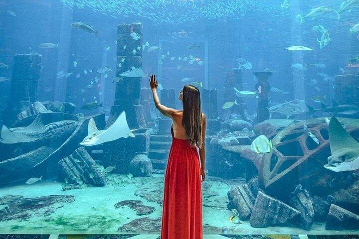 Dubai: Lost Chambers Aquarium in Atlantis with Optional Transport