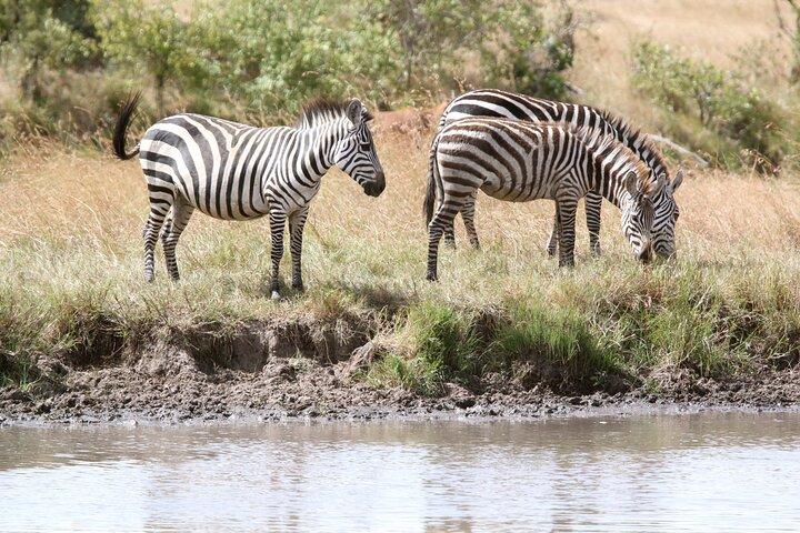 3 Days Amboseli national Park experience.