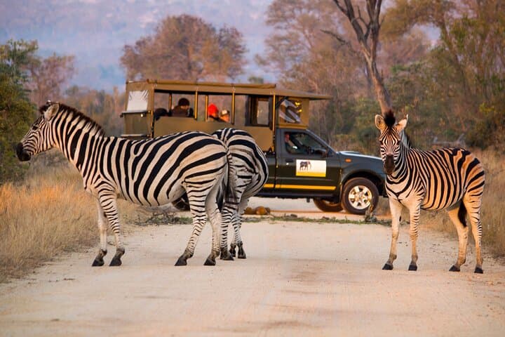 Private Full Day Kruger National Park Safari Tour from Hoedspruit